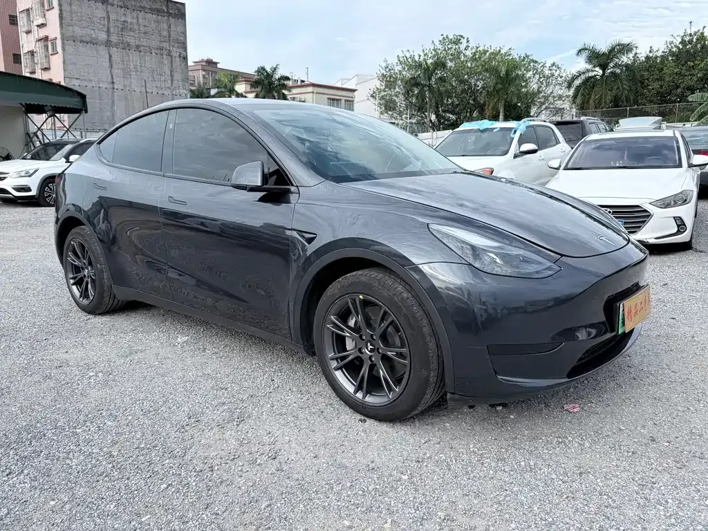 Tesla Model Y — фото 3