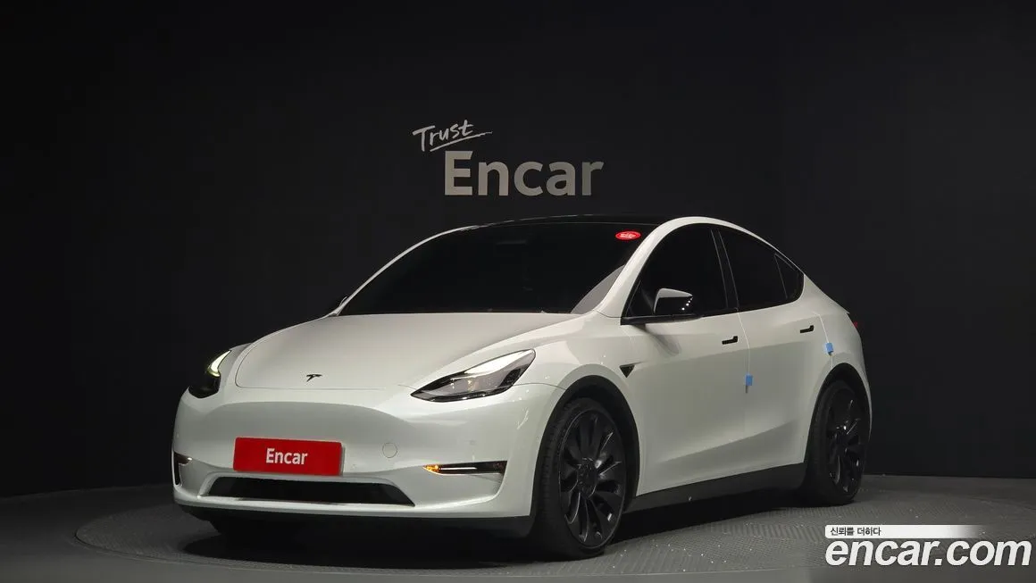 Tesla Model Y — фото 1