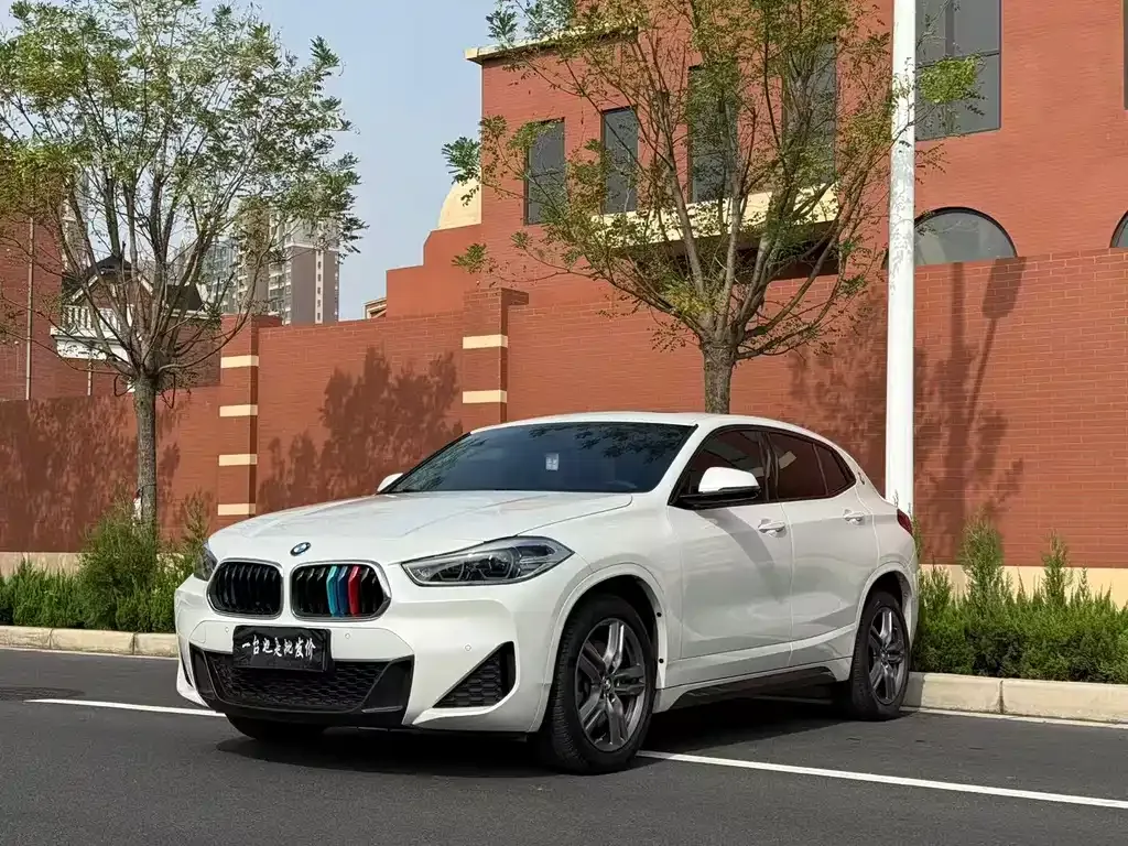 BMW X2 — фото 1