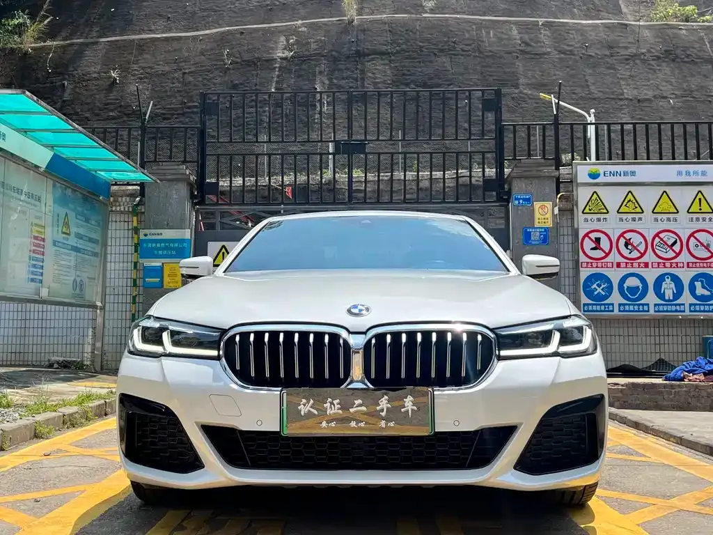 BMW 5 Series New Energy — фото 2