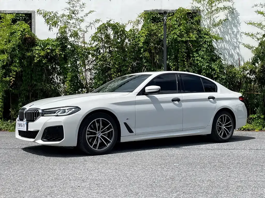 BMW 5 Series (Import) — фото 1