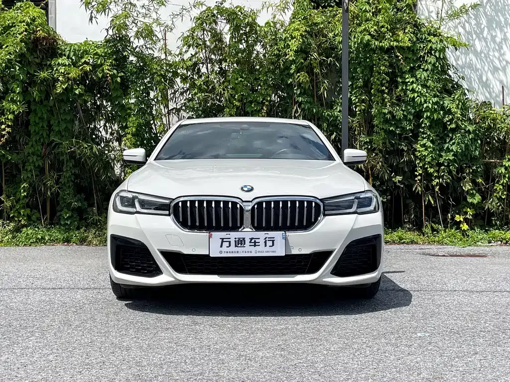 BMW 5 Series (Import) — фото 2