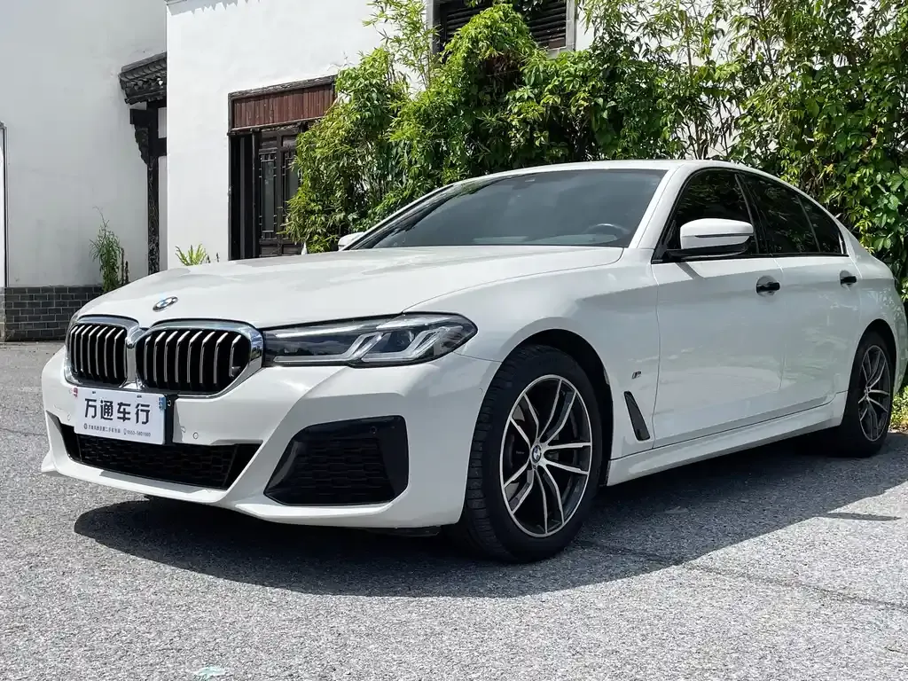 BMW 5 Series (Import) — фото 6
