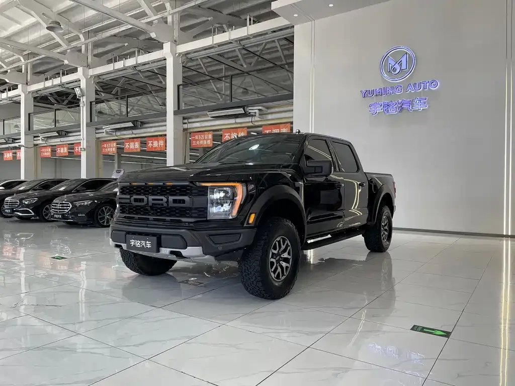 Ford F-150 Raptor — фото 1