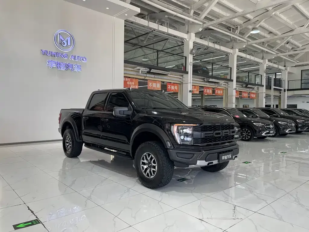 Ford F-150 Raptor — фото 6