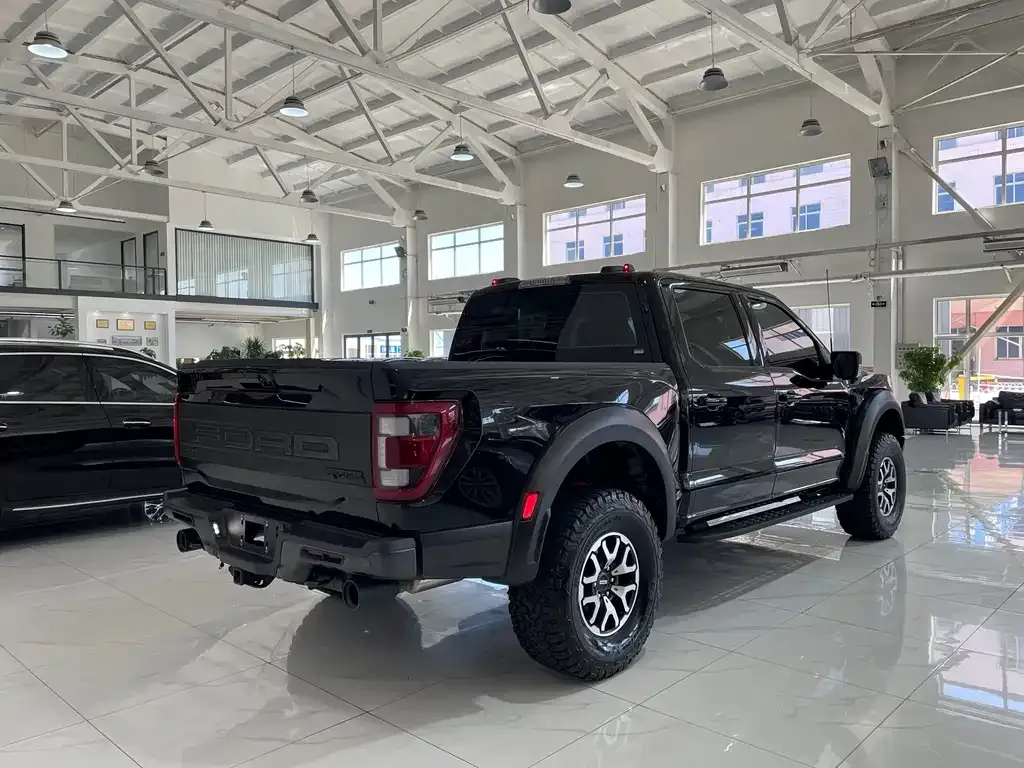Ford F-150 Raptor — фото 9