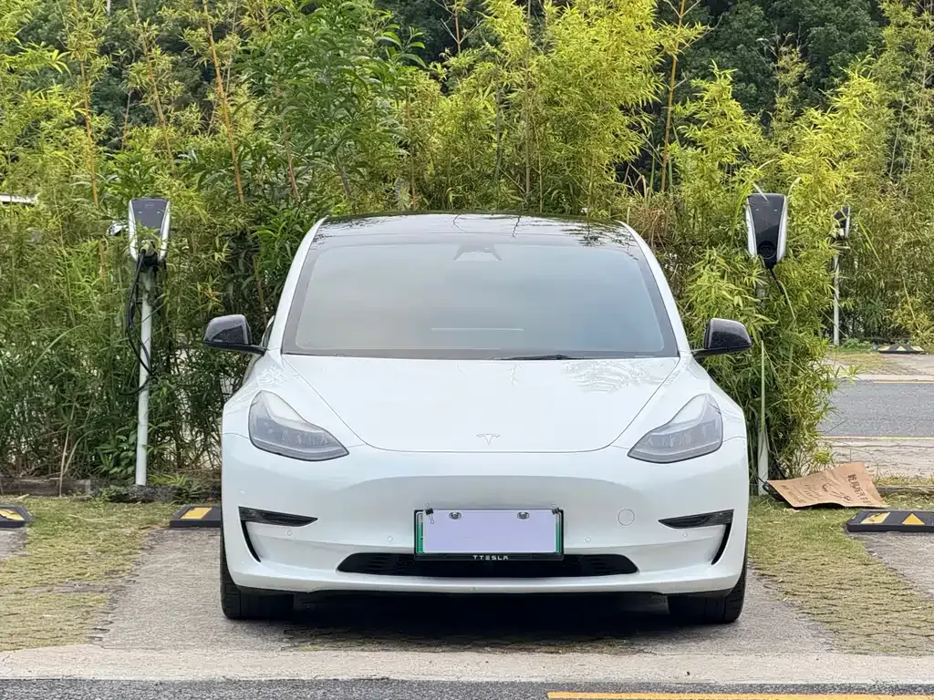 Tesla Model 3 — фото 1