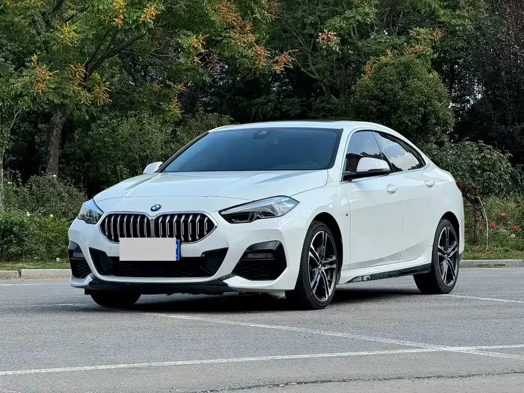 BMW 2 Series (Import) — фото 1