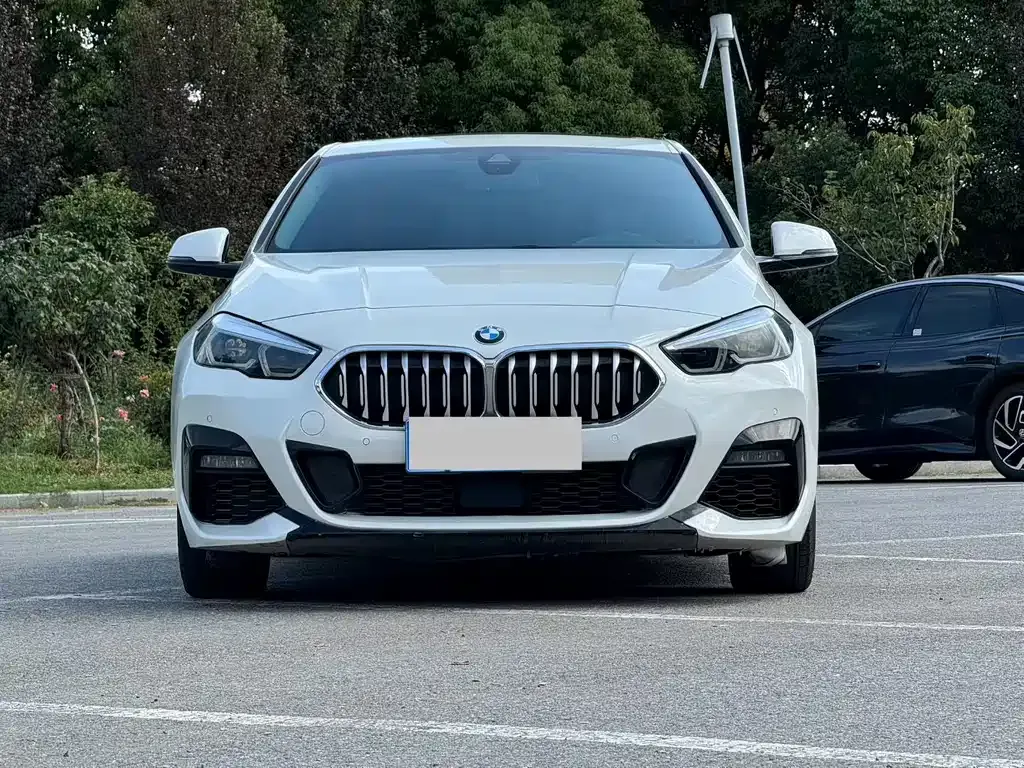 BMW 2 Series (Import) — фото 2