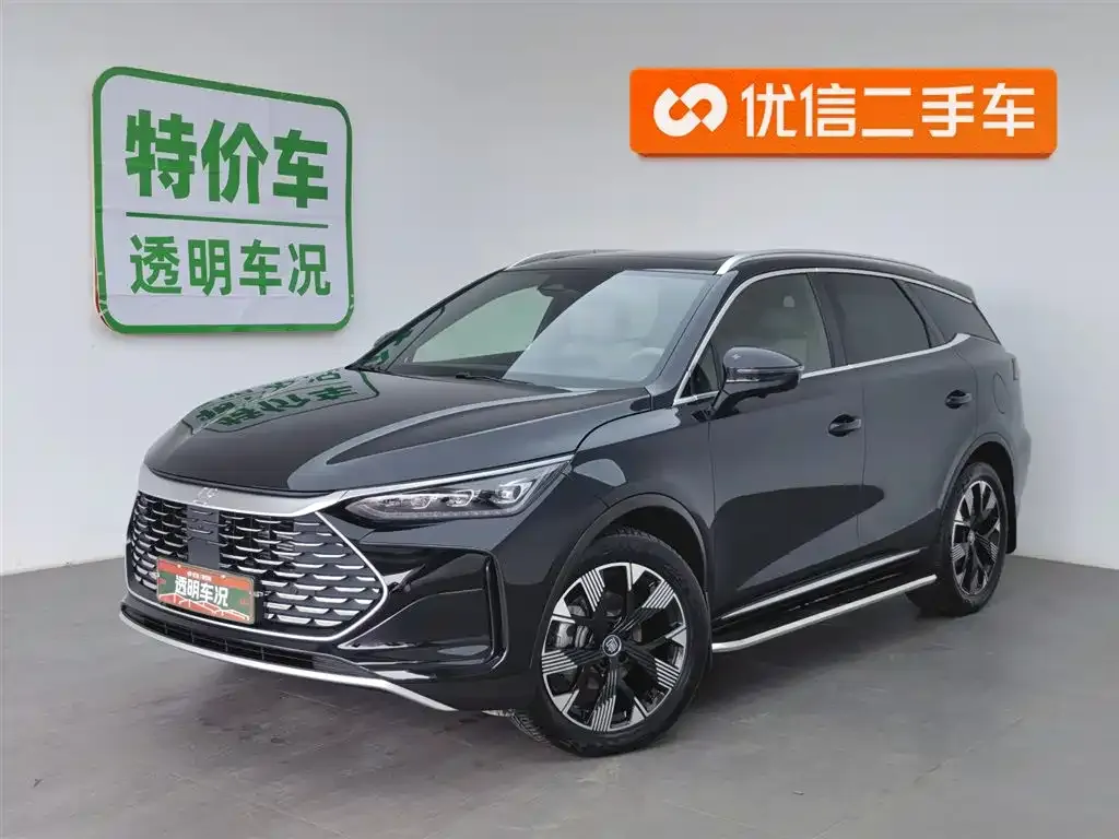BYD Tang New Energy — фото 1