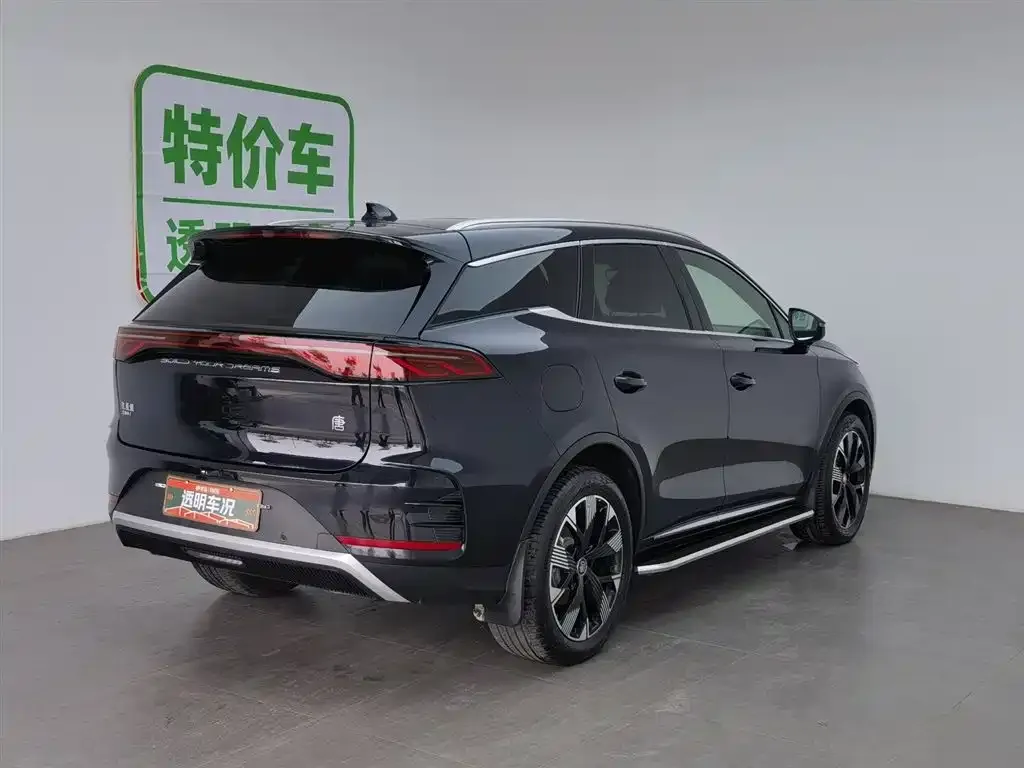 BYD Tang New Energy — фото 2