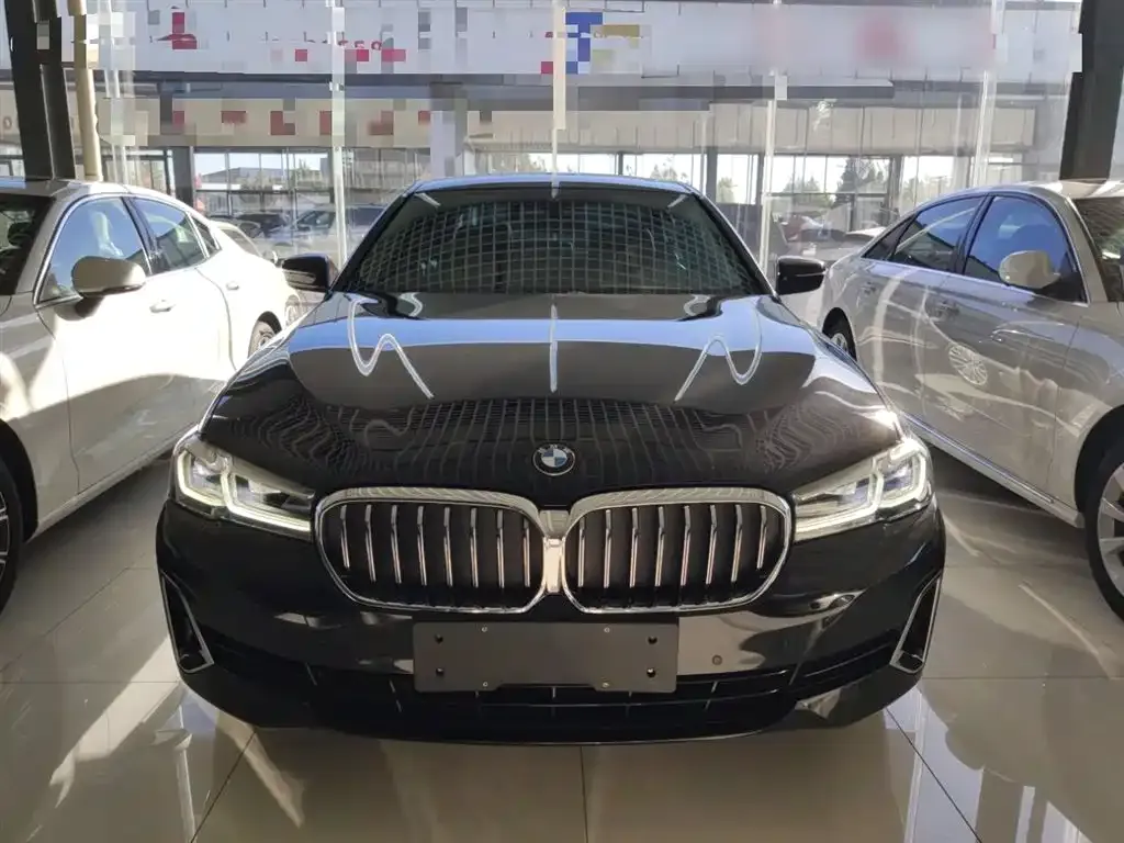 BMW 5 Series New Energy — фото 3