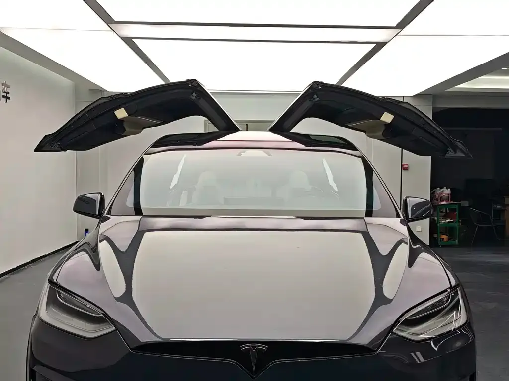 Tesla Model X — фото 10