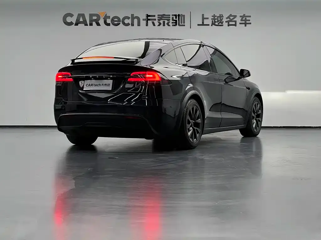Tesla Model X — фото 4
