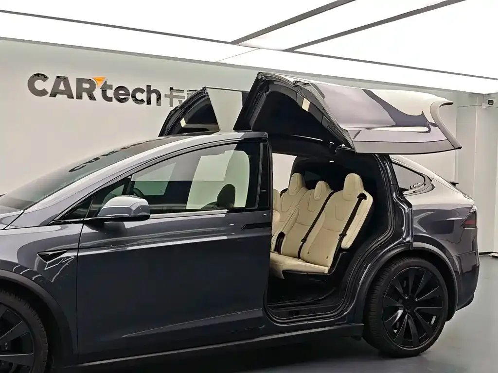 Tesla Model X — фото 8