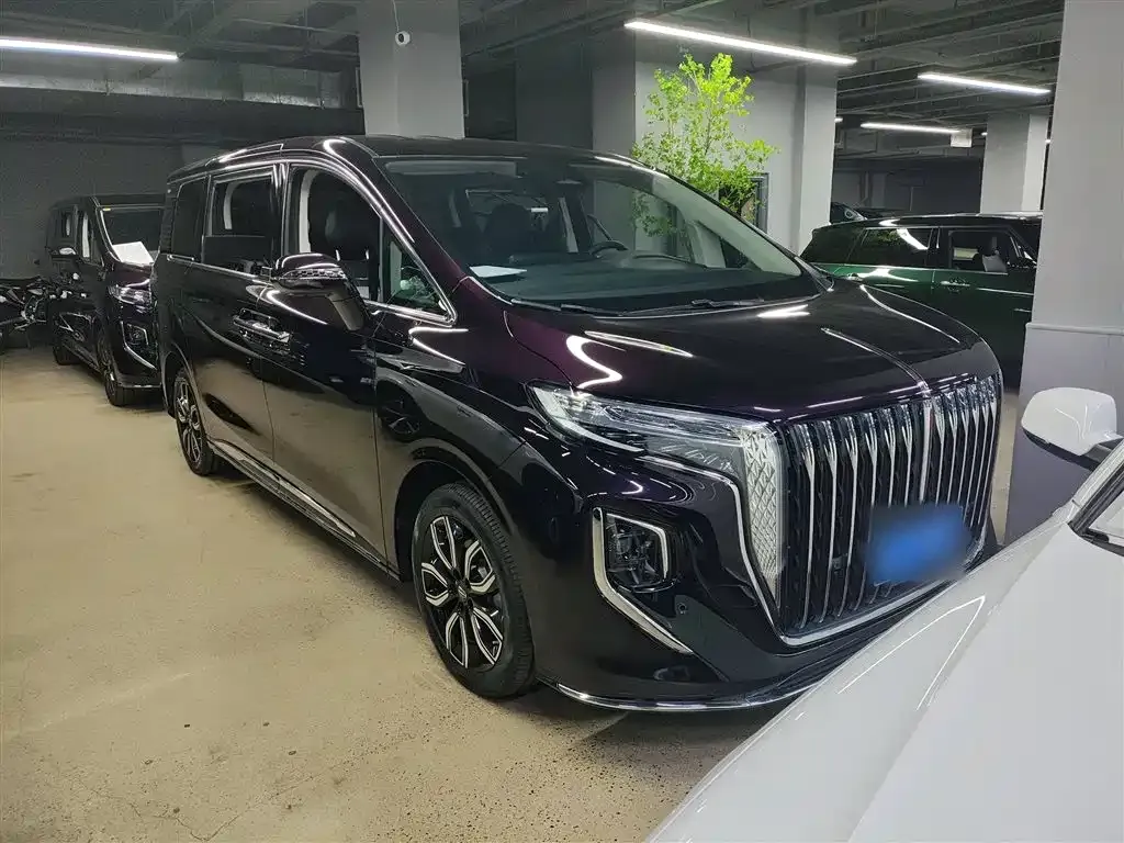 Hongqi HQ9 — фото 4