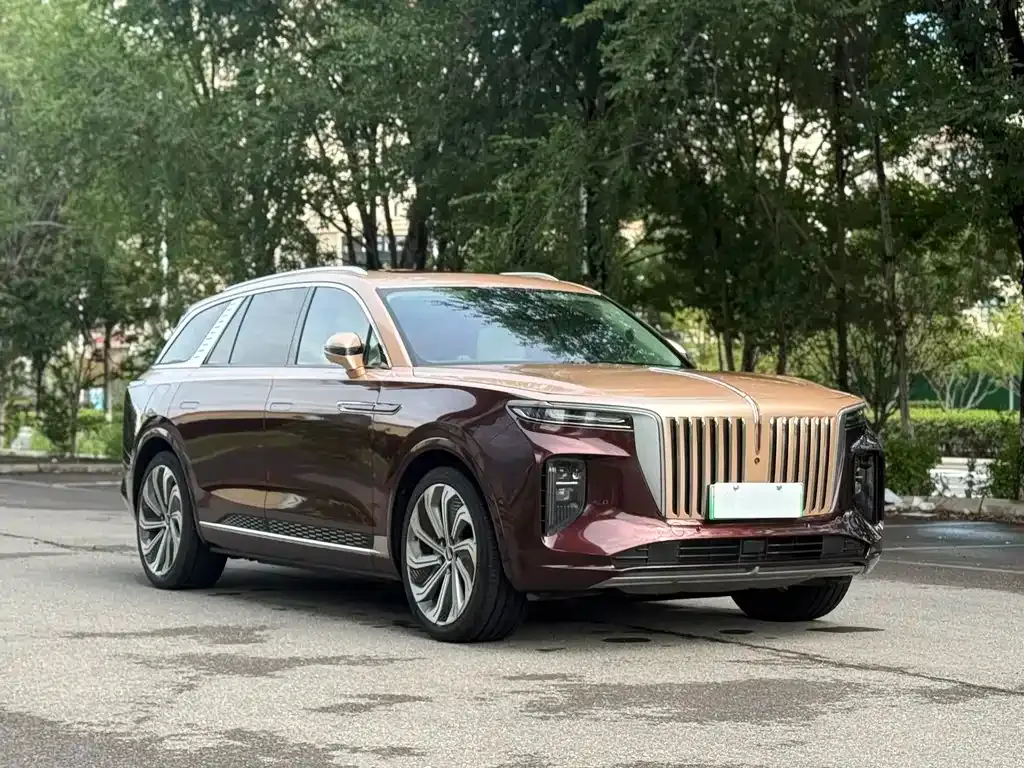 Hongqi E-HS9 — фото 3