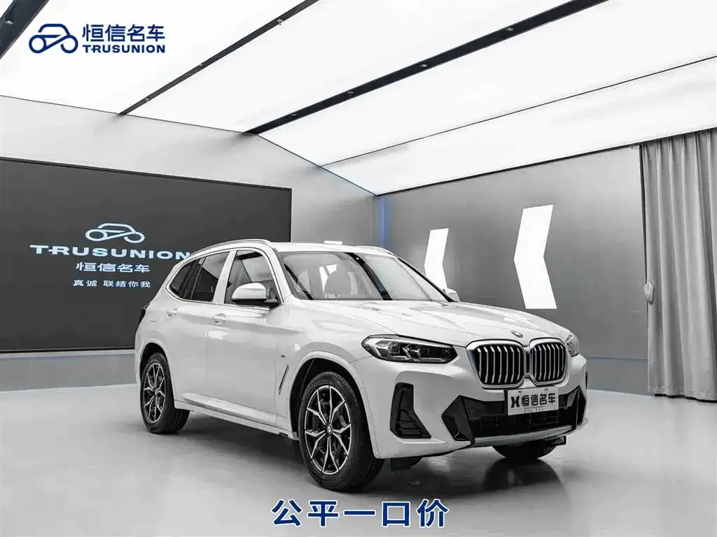 BMW X3 — фото 1