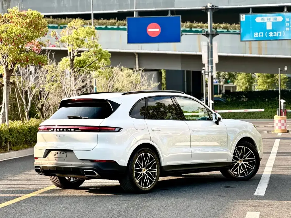 Porsche Cayenne — фото 8