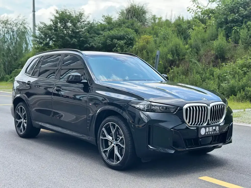 BMW X5 — фото 3