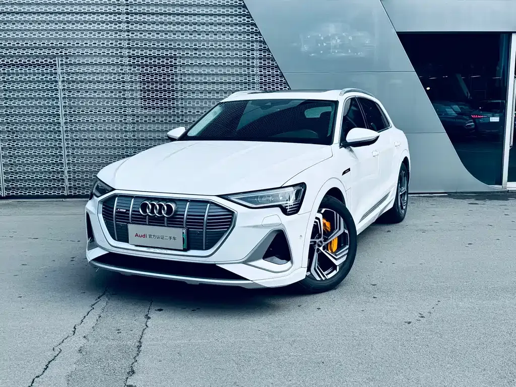 Audi e-tron — фото 1