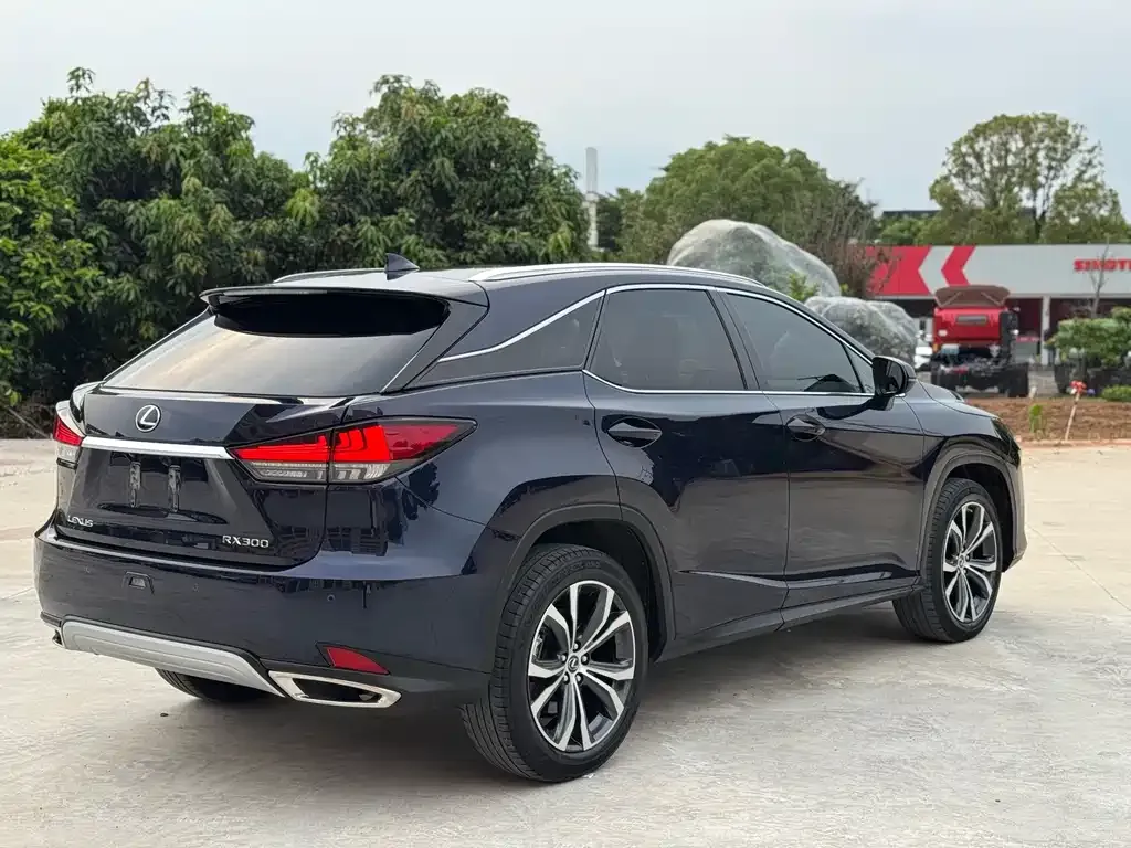 Lexus RX — фото 8