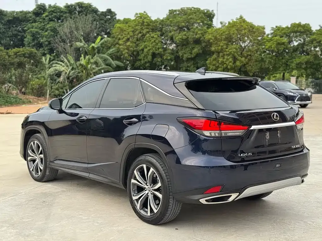 Lexus RX — фото 9