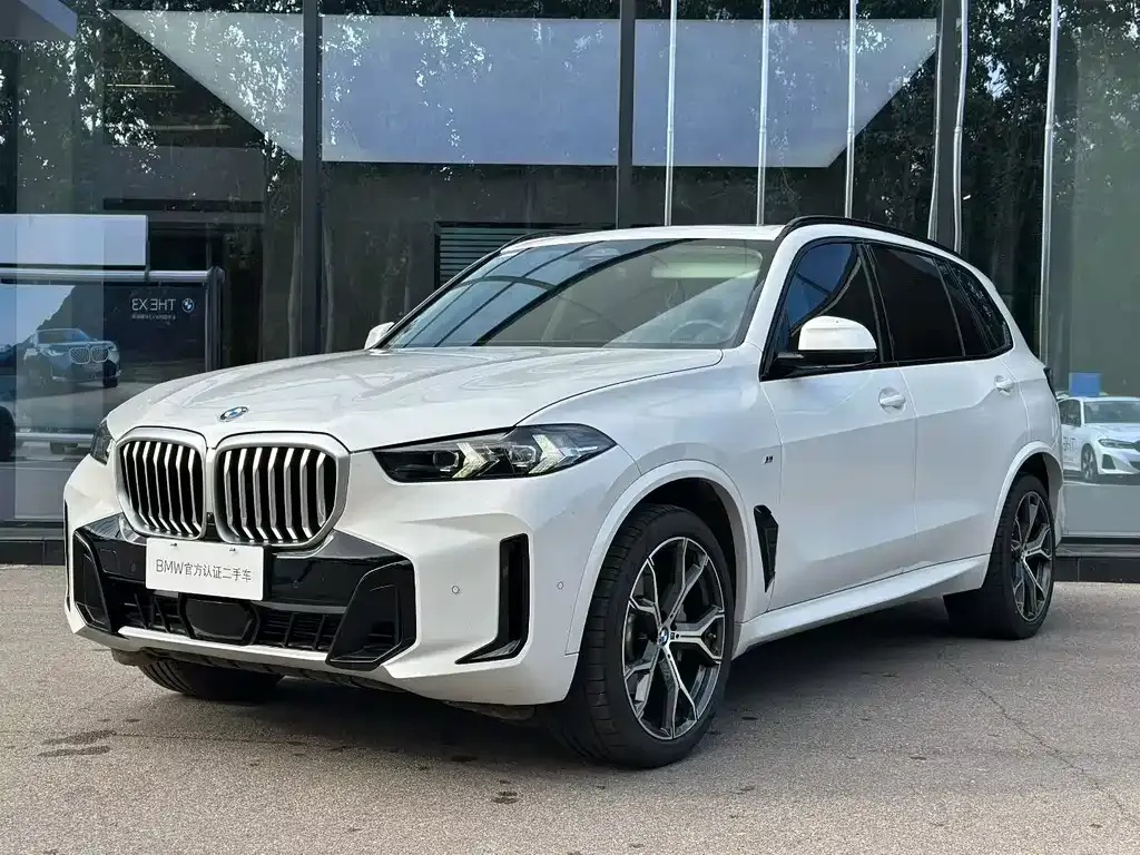 BMW X5 — фото 1