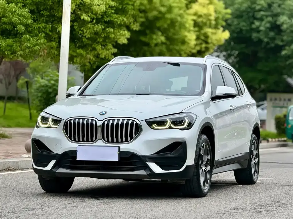 BMW X1 — фото 1