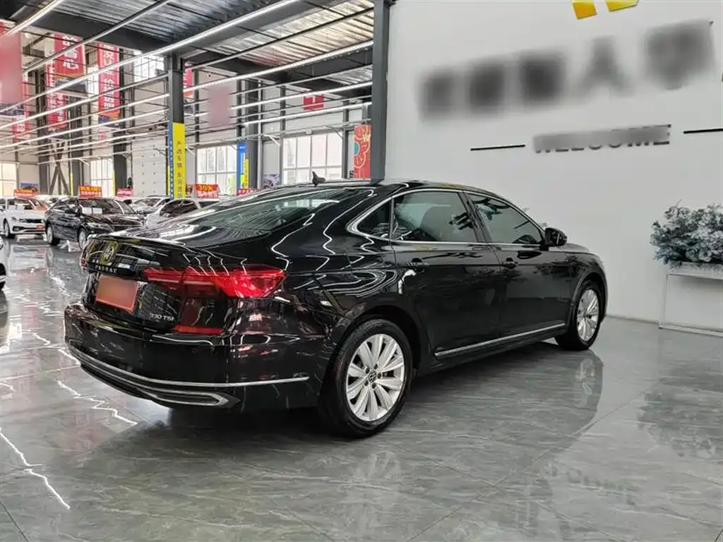 Volkswagen Passat — фото 10