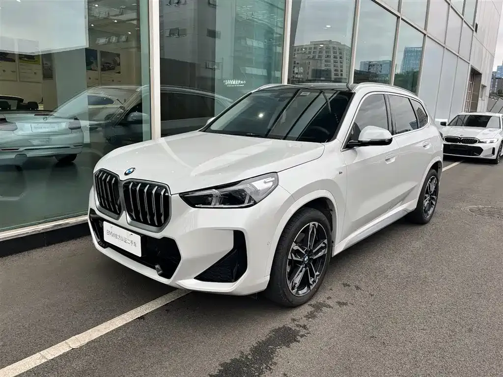 BMW X1 — фото 1