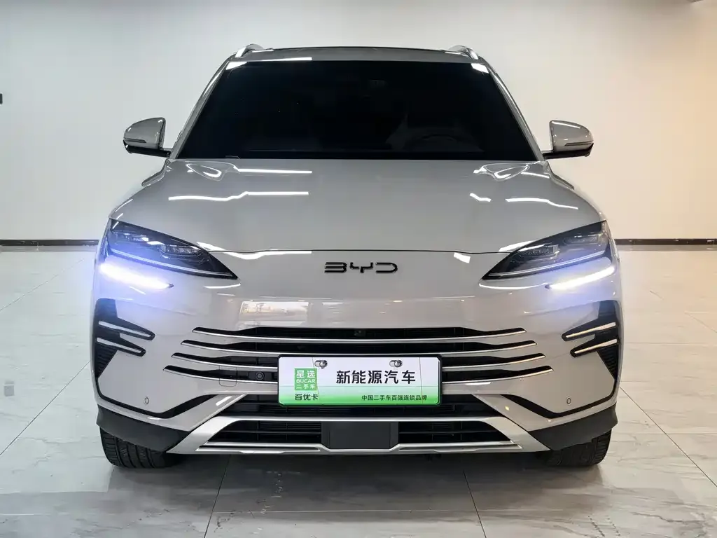 BYD PLUS New Energy — фото 1