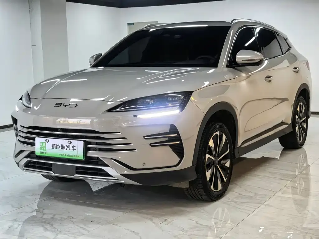 BYD PLUS New Energy — фото 2