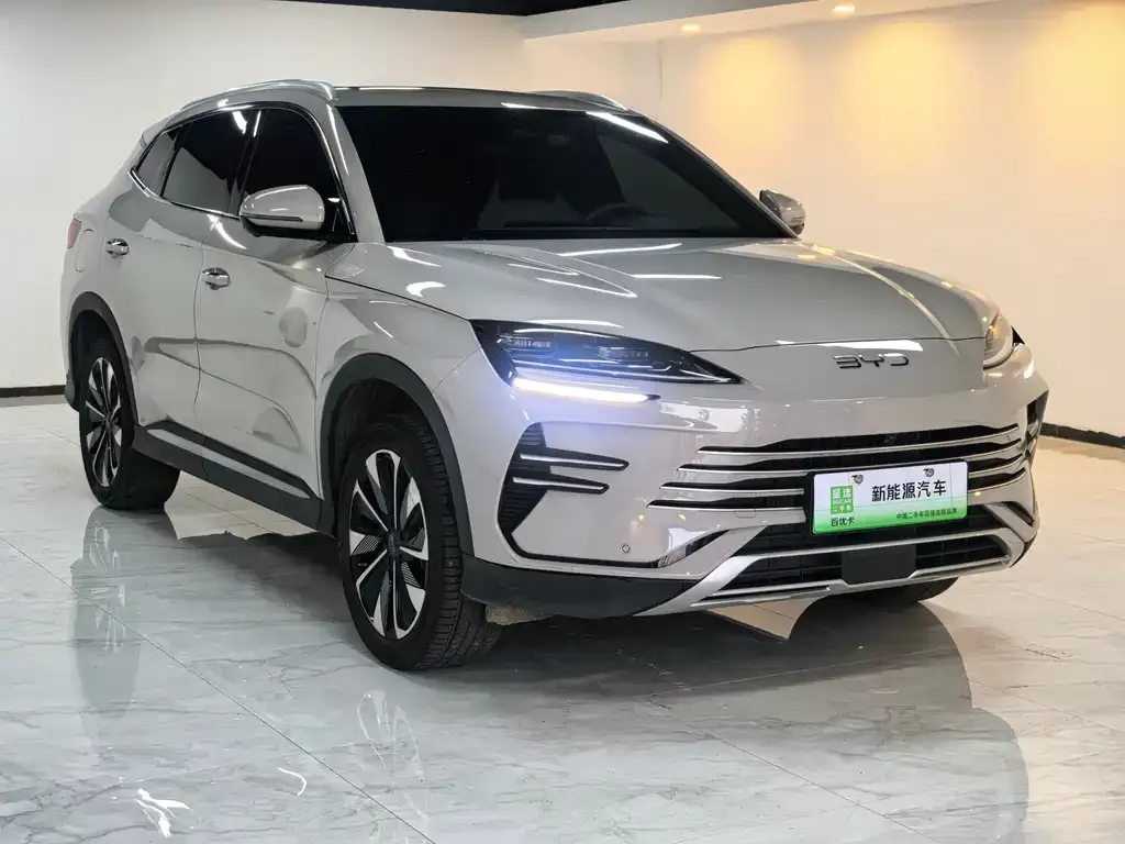 BYD PLUS New Energy — фото 3