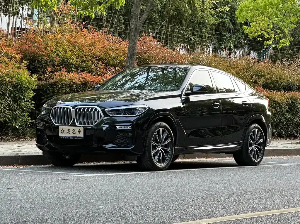 BMW X6 — фото 1