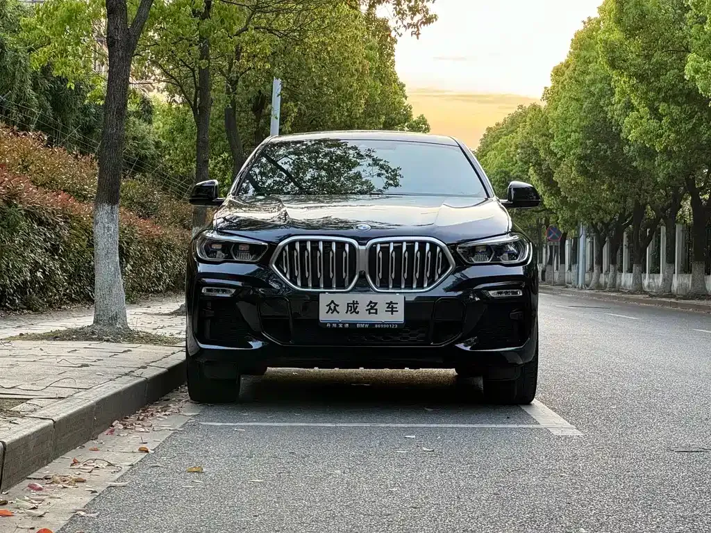 BMW X6 — фото 2