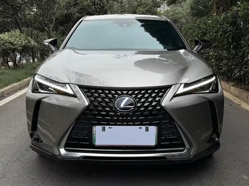 Lexus UX New Energy — фото 2
