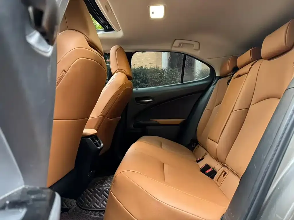 Lexus UX New Energy — фото 6