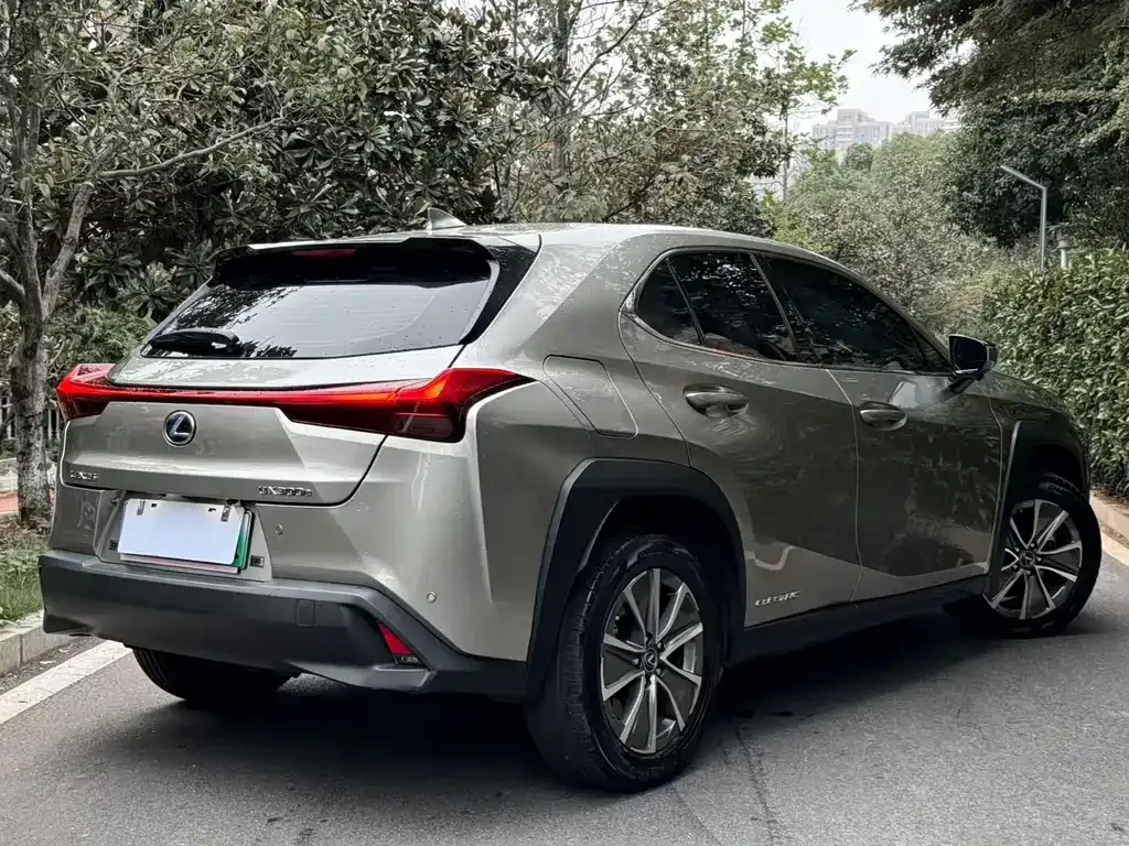Lexus UX New Energy — фото 7