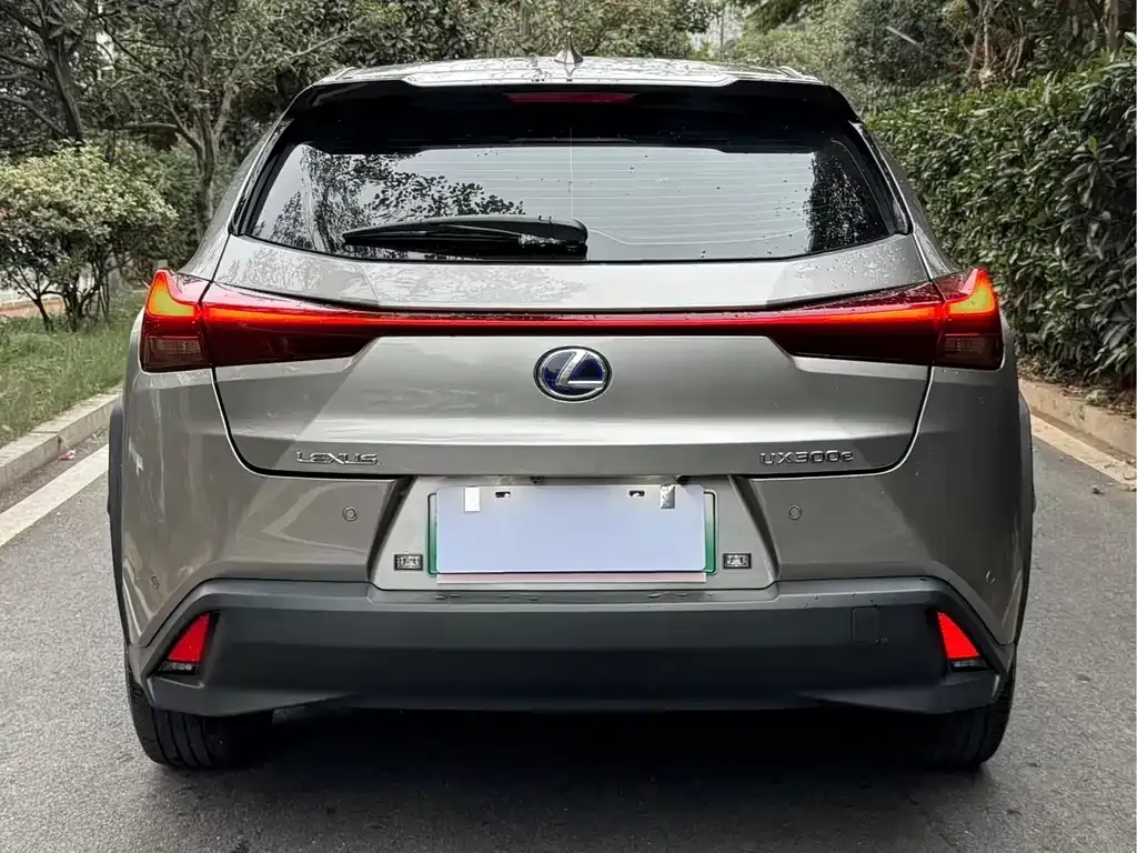 Lexus UX New Energy — фото 8