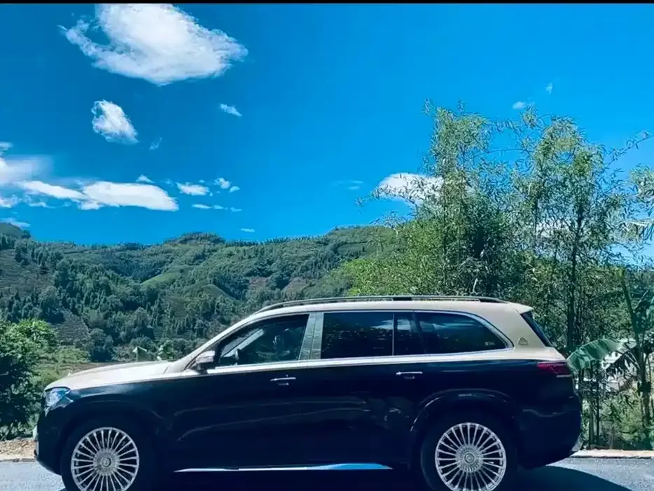 Mercedes-Benz GLS — фото 4