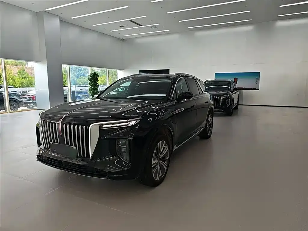 Hongqi E-HS9 — фото 2