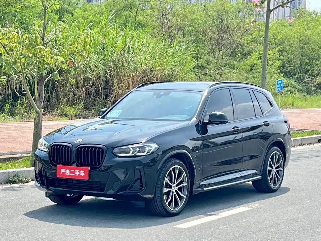 BMW X3 — фото 1