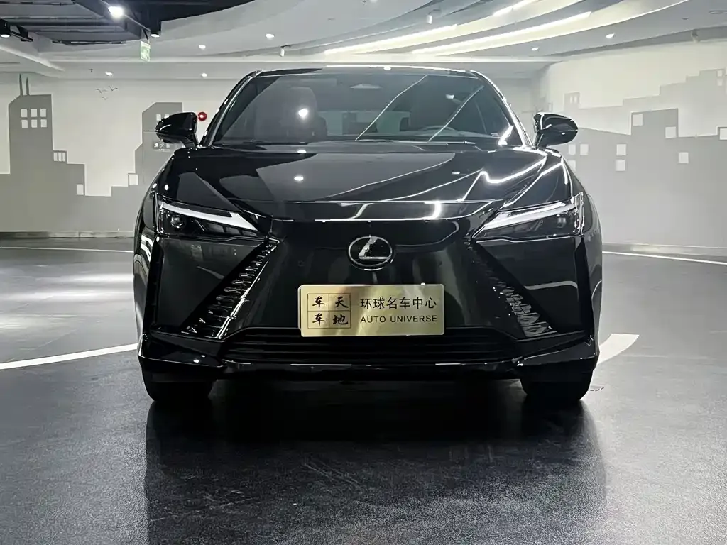 Lexus RZ — фото 2