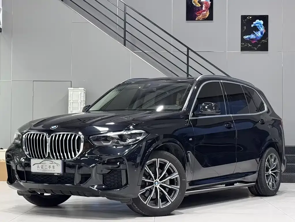 BMW X5 (Import) — фото 1