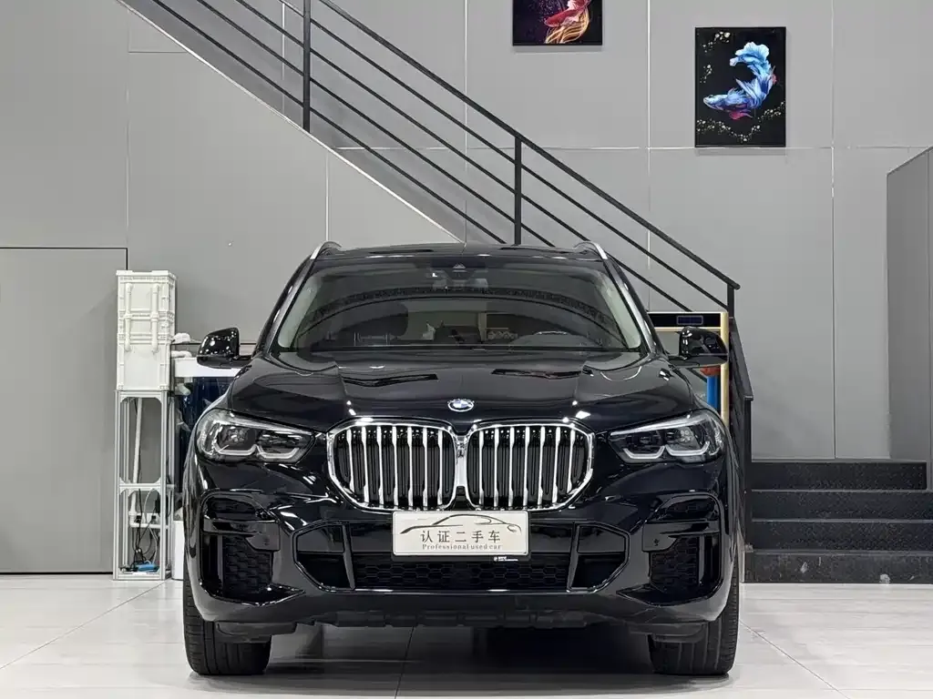 BMW X5 (Import) — фото 2