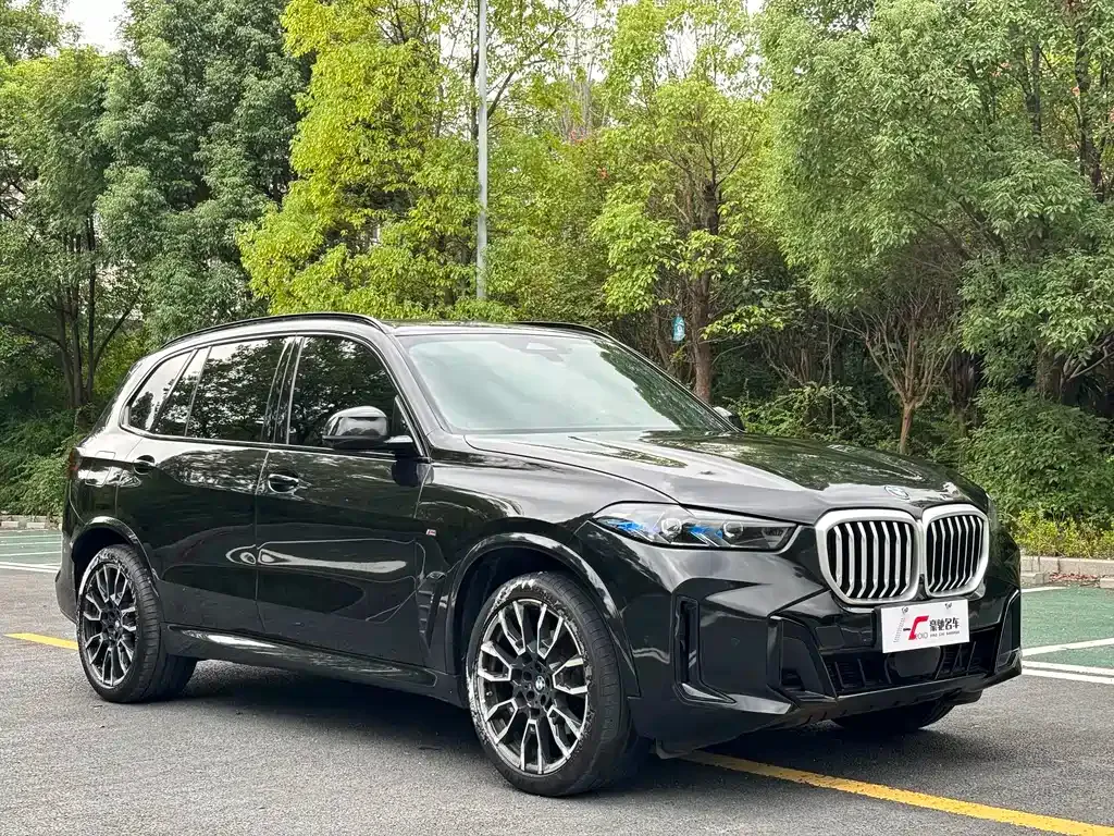 BMW X5 — фото 2