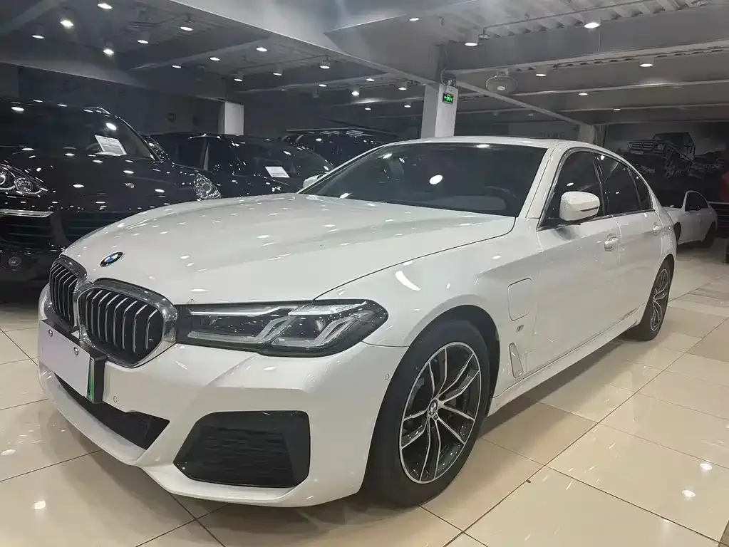 BMW 5 Series New Energy — фото 1