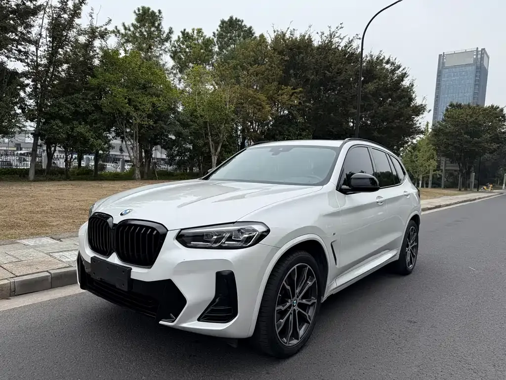 BMW X3 — фото 1
