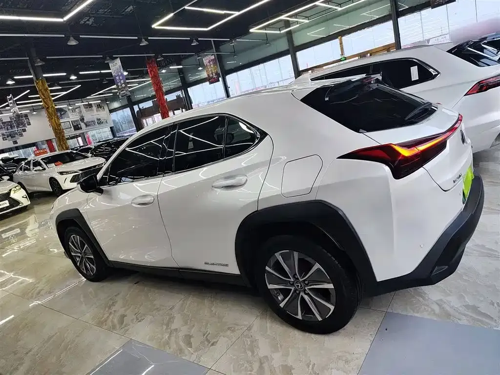 Lexus UX New Energy — фото 5